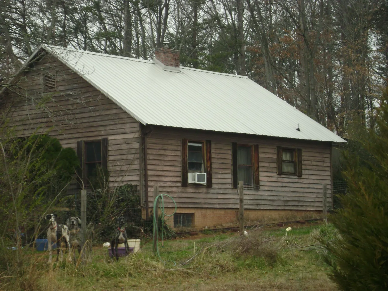 White metal roof on an old wood sided farmhouse, from a Asphalt Shingle Roof Repair job in Otho